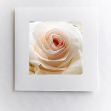 Load image into Gallery viewer, Amy&#39;s Rose