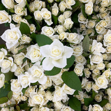 Load image into Gallery viewer, Strongest White Rose