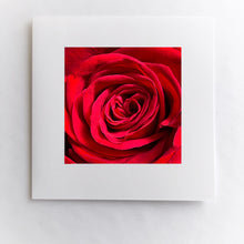 Load image into Gallery viewer, Red Rose Heart